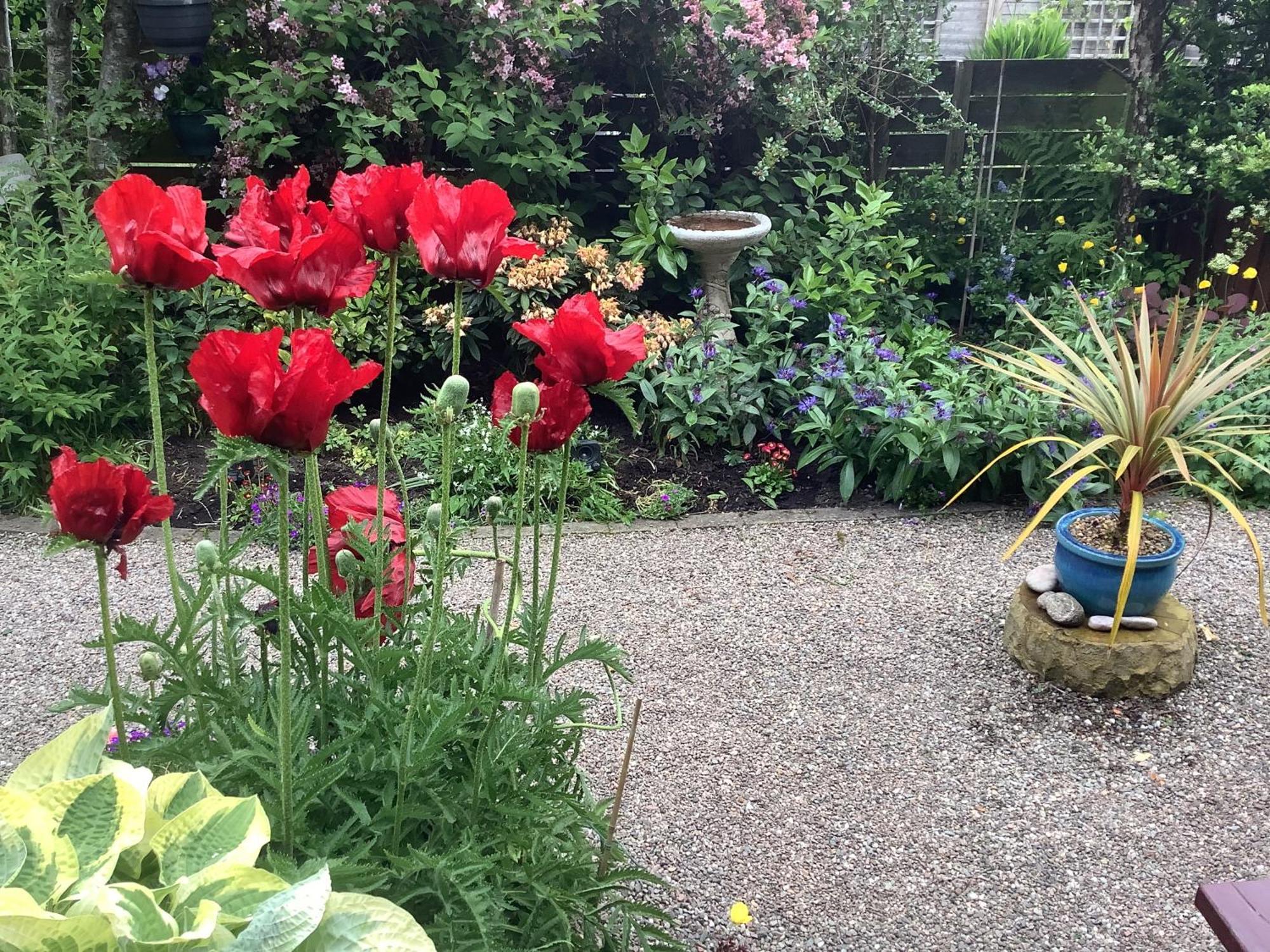 The Garden Flat Apartment Crieff Bagian luar foto